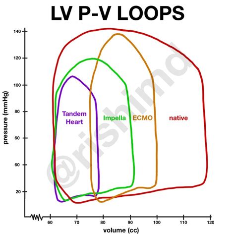 lv volume curve|ventricular volume loop diagram.